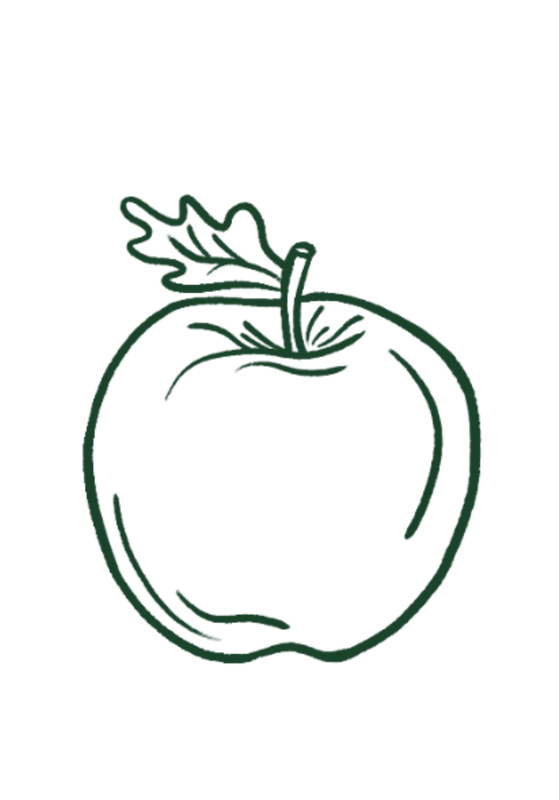 Plan de alimentación
